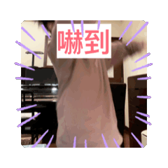 綸の動態日常貼圖