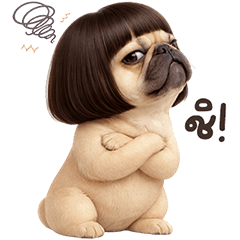 French Bulldog TuaTueng