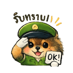 BeginsFifa_20260130180440