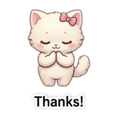 M . KB_20260130183214