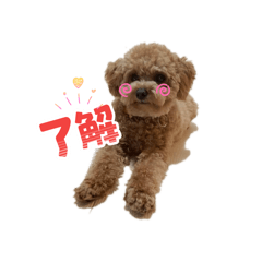 moca_202601301920491