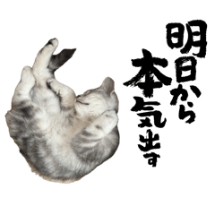 T.K.S_20260130192440