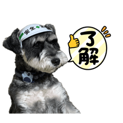 hideyoshi_20260130200336