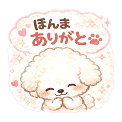 ramo_20260130224502