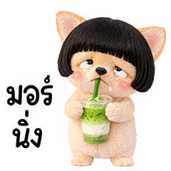 ชิวาว่าหน้าบูกผมบ๊อบ