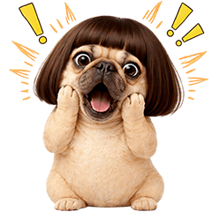 French Bulldog TuaTueng (No Text)