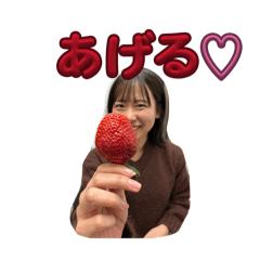 kaaas_20260130232747