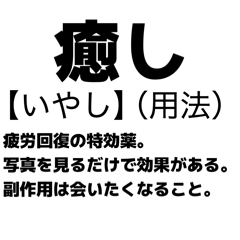 doanobu_nobu_20260129164508