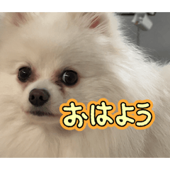 CLARK_20260130223439