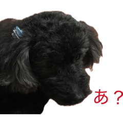 naoto_20260130230430