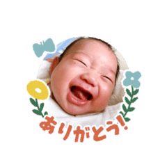 yuzu_20260130231231