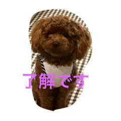 k.choco