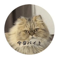 Azusa_20260131000324