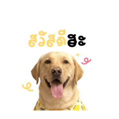 บับเบิ้ลแบบเบิ้ลเบิ้ล