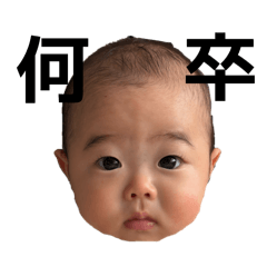 nachi_20260131002510