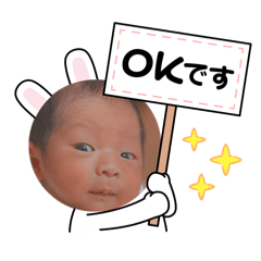 socha_20260131004000