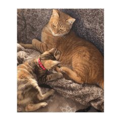 Sa_ccaaatttt!cuteeeeee