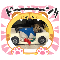 masuk_20260131000319