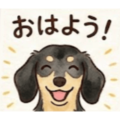 Lulika_20260131024142