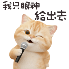 chubby chubby cat41L