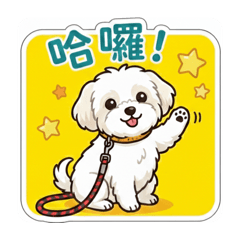 我是馬爾濟斯樂樂1