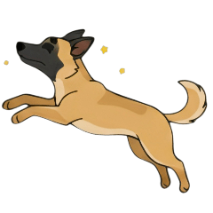 wut63_20260131123534