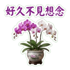 元気な挨拶と楽しい返信 part2