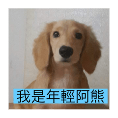 熹熹vs阿熊