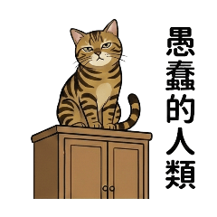 ［貓力覺醒］啾抖嘛爹！阿虎內心戲2