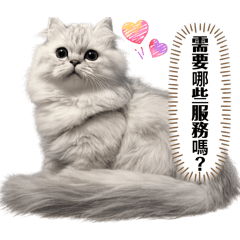 泡芙與蛋捲 泡蛋家族