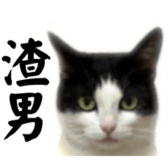 柳丁醬-日常對話篇