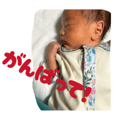 motomotoki_20260131035514