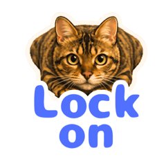 chan rin_20260131054702