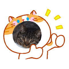 masuk_20260131054620