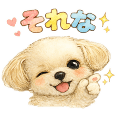 pupumun_20260131052101