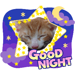 momokananase_20260131070910