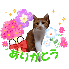 momokananase_20260131070722