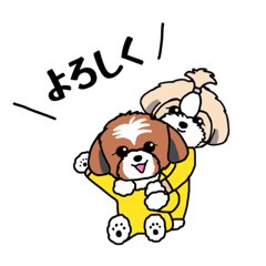 Sumi made_20260131063549