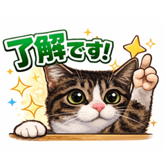 Komai_20260131073422