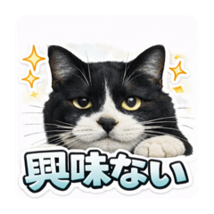 Rio1999_20260131074134