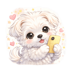 nagi.PINK._20260131065120