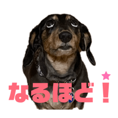 love410_20260131070157