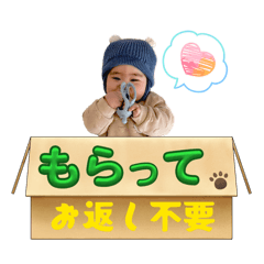 seiya_20260131080851