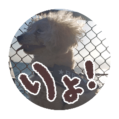 LEOLEOLEOLEOLEOLEOLEOLEOLEOLEO