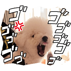 otokun_20260131091030