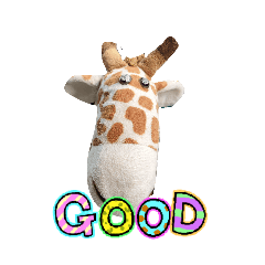 chomwan_20260131100520