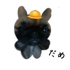 akaringo_20260131101642