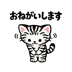 Express Yourself! Zebra Cat Sticker