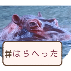 TAKAHITO_202601311106346