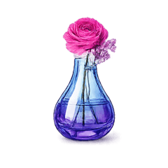 Mini clear vase - Gradient
